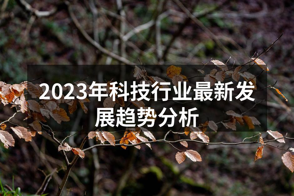 科技行业的新产品展示